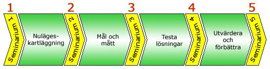 Appendix 4 - Seminarieupplägg NU Skräddarsydd modell Det finns mycket skrivet om processorientering i industrin, men betydligt mindre om hälso- och sjukvården.