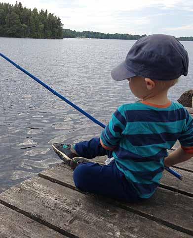 Naturpasset i Gårdsby 2017 Välkomna ut i skog och mark på en kul tur i Gårdsby socken!