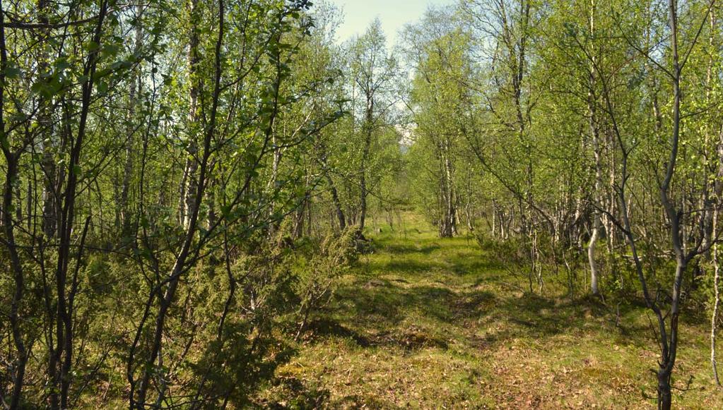 BEHOVSBEDÖMNING Sida 5 av 14 Stads- och landskapsbild Området ligger i anslutning till befintligt fritidshusområde och är väl anpassat till landskapsbilden.