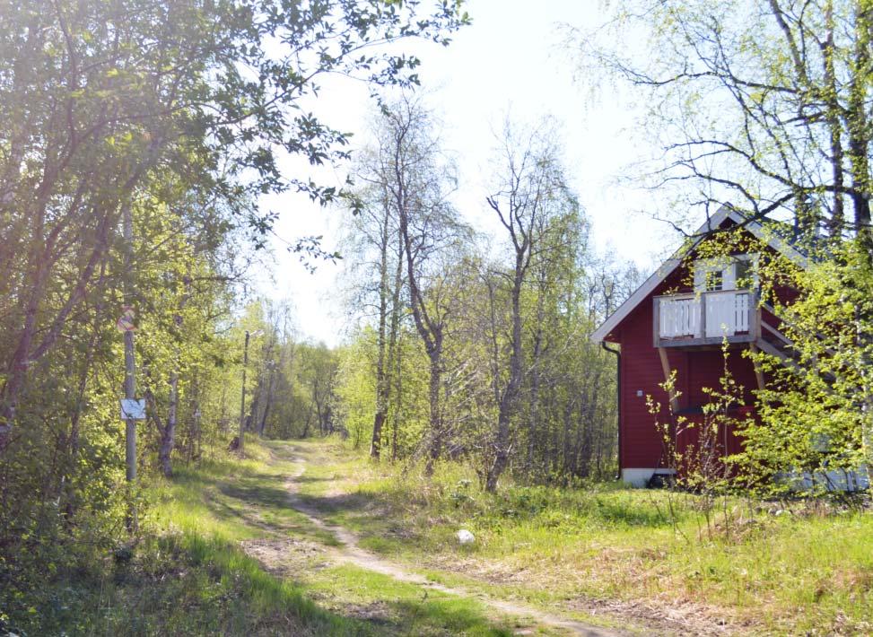 BEHOVSBEDÖMNING Sida 8 av 14 Bild tagen från Lassovägen och mot elljusspåret. Till höger syns bostad efter Skidspåret.