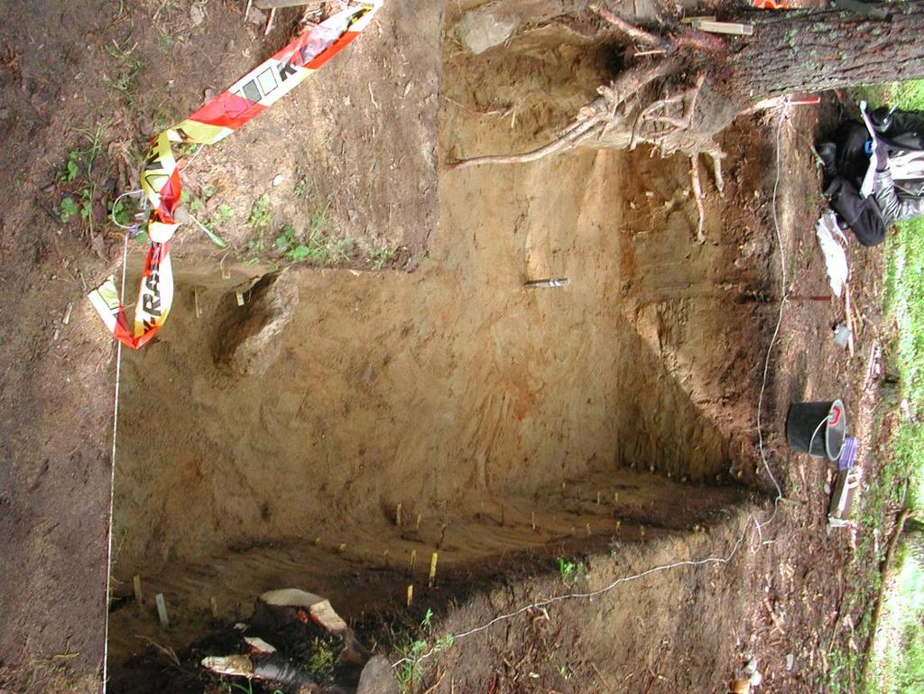 44 Lagerföljd i Schakt SB2 Direkt under det tunna vegetationsskiktet, framkom ett tunt påfört mörkt humusinblandad sandlager 0,01-0,1 m. Lagret LC2 innehöll endast ett fåtal fynd.