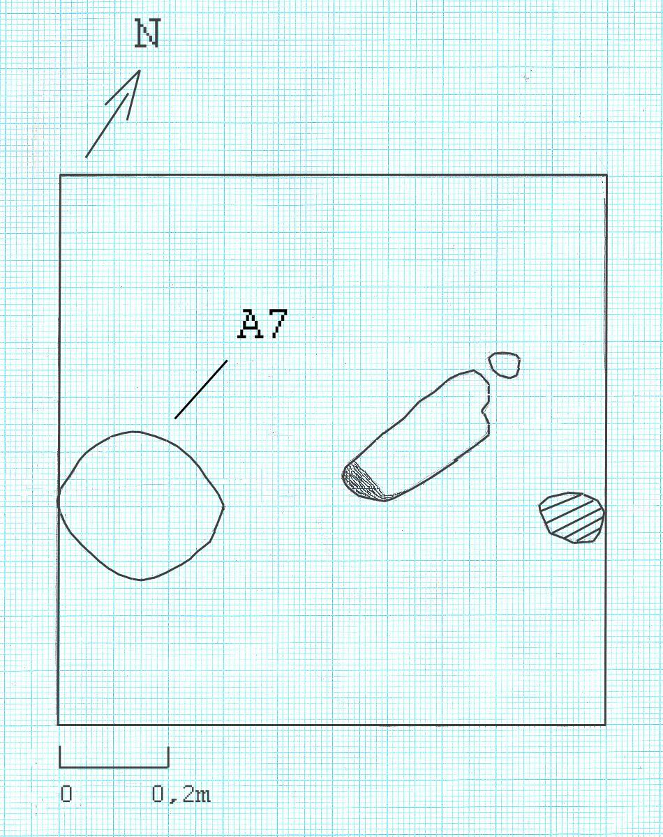 78 Anläggning 7 Planritning av A7. Den ovala anläggningen till öster om A7 består av en lera och bedömdes inte vara en anläggning Läge: Norra delen av ruta 4, lager 2 och 3.