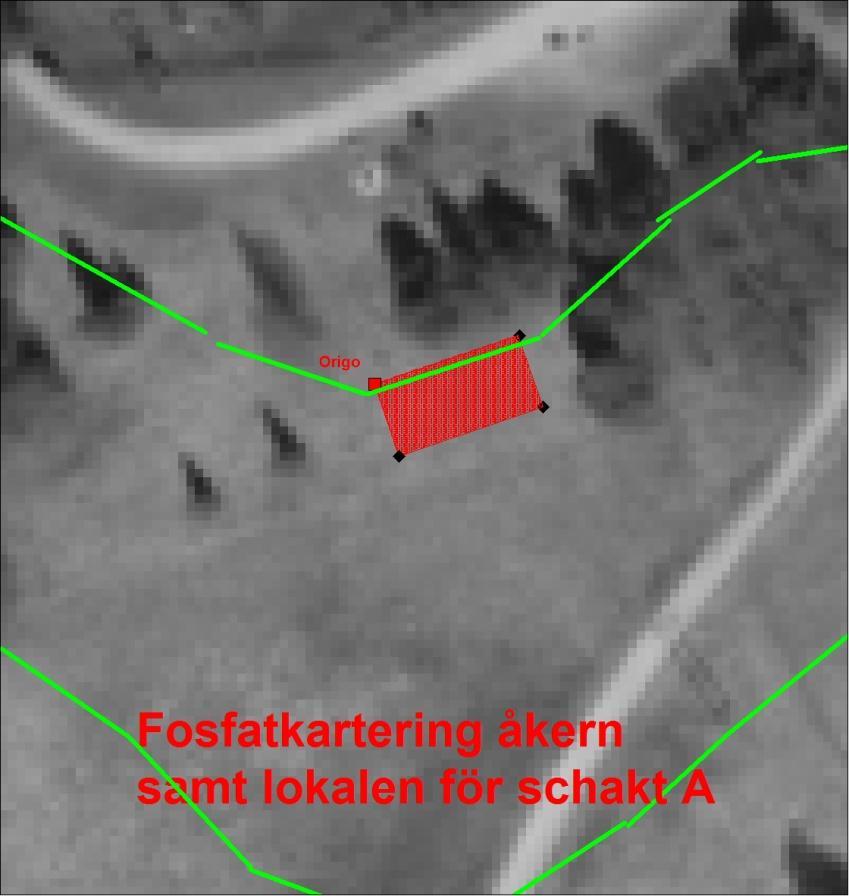 82 Fosfatkartering av terrassen på Åkern Den undersökta ytan var 162 m 2 och lagd på så sätt att ytans ena långsida följde terrasskanten.