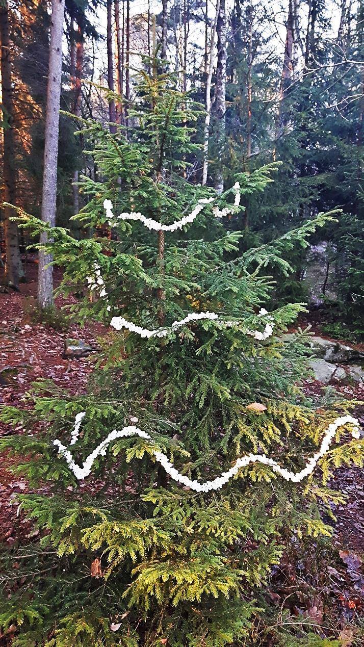 soffan 16 De ska helst