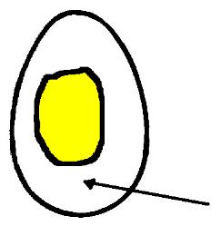 10 äggvitor från