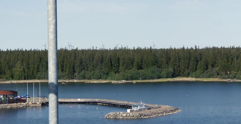 På Replotområdet häckar numera Finlands tätaste havsörnspopulation, vilket gör området till ett värdefullt fågelobjekt av riksintresse.