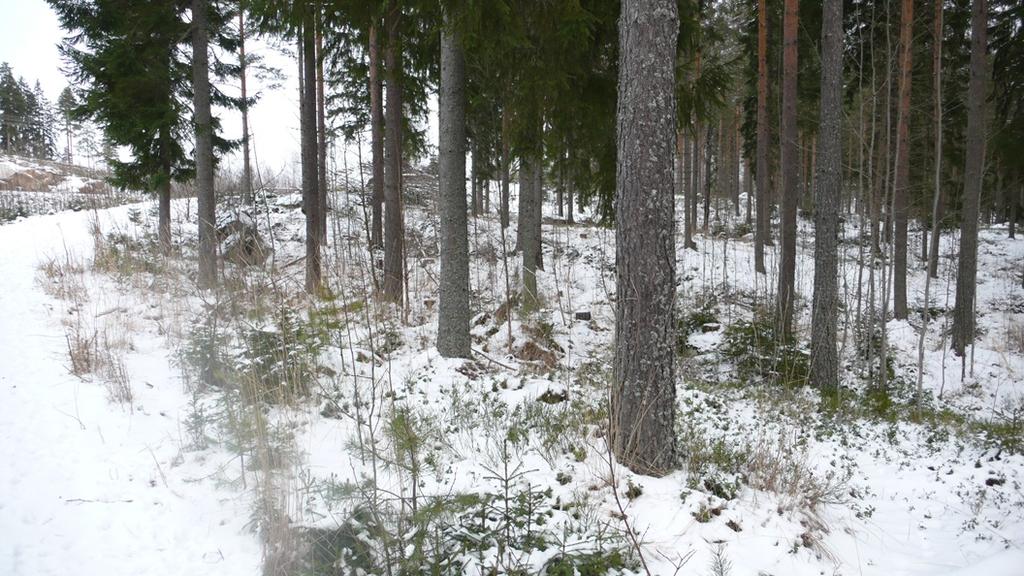 Detta område håller dock delvis på att fyllas ut nu i samband med att ett flerbostadshus uppförs inom området med stöd av nu gällande detaljplan.