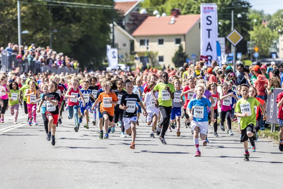 PLANERADE AKTIVITETER 2018 Ta fram och presentera nytt förslag för utveckling