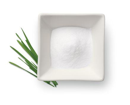 När sunt är skojigt Den vegetabiliska sammansättningen, tillverkad av helt naturliga ingredienser, kan reducera bildandet av plack och tandsten mekaniskt när hunden tuggar.