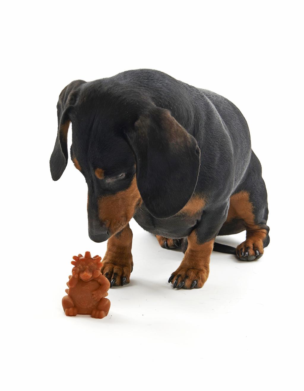 PÅSE MED VECROFÖR- SUTNING WHIMZEES tuggben i påsar Art.nr Beskrivning Strl. hund Strl. Färg 380840 Tandborste, XS, påse m/48 st.