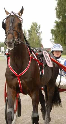 Nestor Hans-Ivar Wall har plockat fram ytterligare en vinnare. Igår gjorde hans My Golden en femtstjärnig debut när hon vann på Gävletravet.