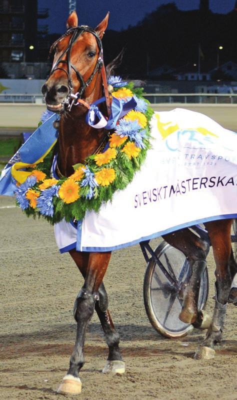 Eskilstuna, Jägersro, Solänget Solvalla, Åby Axevalla, Bergsåker, Romme Skellefteå (V75) Bollnäs, Kalmar, Rättvik, Årjäng, Örebro, Östersund Boden, Hagmyren, Halmstad, Mantorp, Åby Bergsåker,