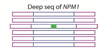 MRD med djupsekvensering efter SCT Vuxna med AML with mutation i NPM1