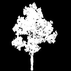 Fjärilsrabatter På gården finns fjärilsrabatter, växter valda för att attrahera fjärilar, men också med en gemensam lång blomningstid.