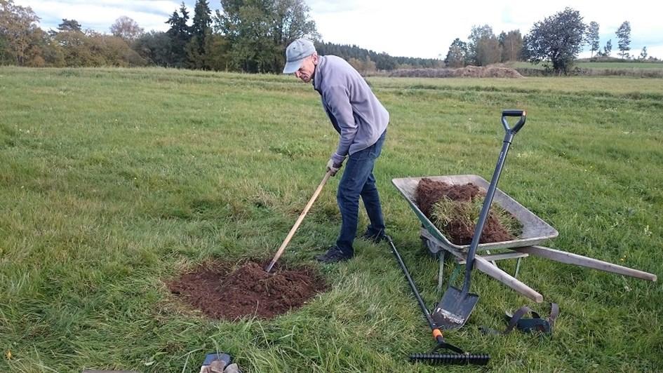 Insådda plantor får också ett försprång innan fläcken tätnar av vegetation igen.