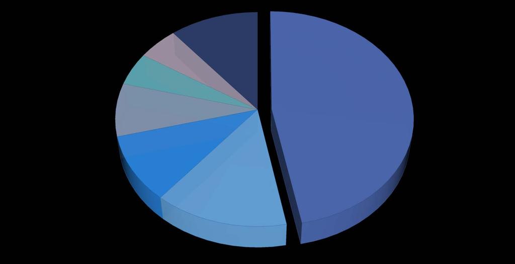 Tinnitus (buller) 5%