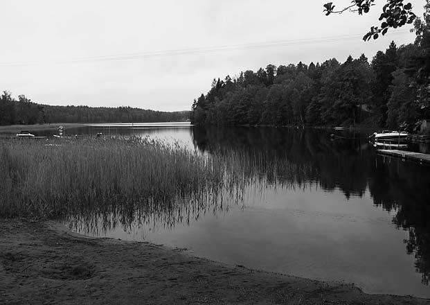 I området finns bland annat också ett flertal gravmonument från järnåldern (Sawyer 1985). Närmast Forsån, Gärdsken och Lilla Färgen finns enligt FMIS emellertid få kända fornlämningar.