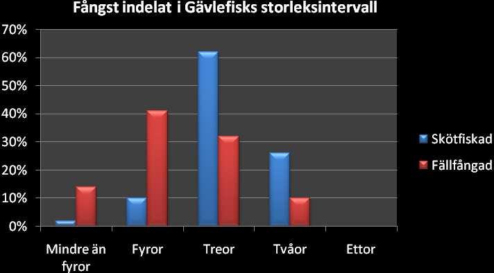 juni. Storlekssammansättning vid indelning i Gävlefisks storleksintervall