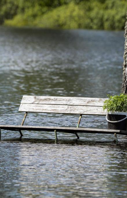 Flödesreglering Vilka kostnader hade uppstått om inte våtmarkerna funnits? Vi har nytta våtmarkernas flödesreglering. Jämnar ut flödestoppar och dalar.