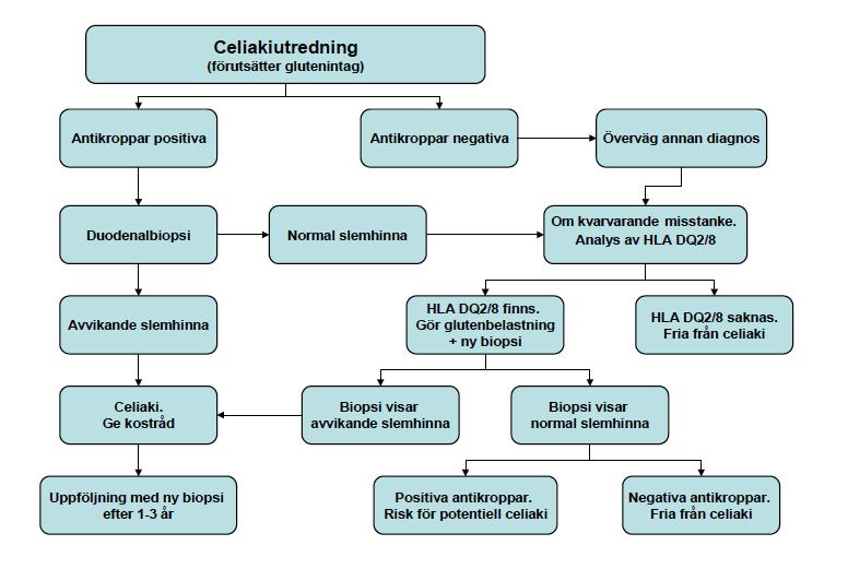 Celiakidiagnostik Svensk