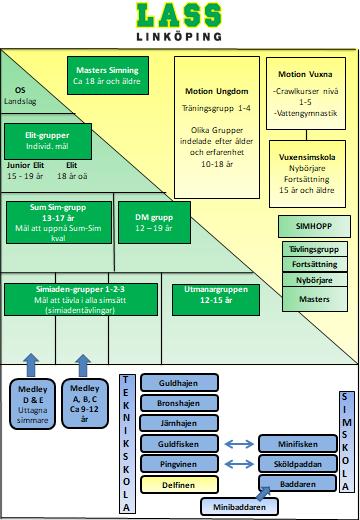 Övergripande mål 8 år De övergripande målen beskriver den gemensamma riktningen för Svensk Simidrott fram till 2025.