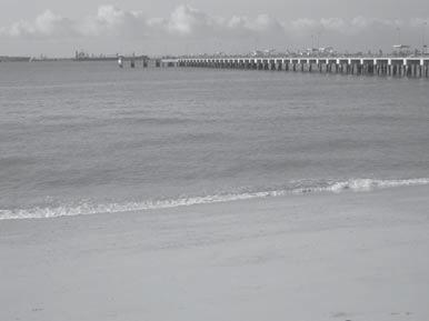 Fotografering anpassad efter motivet g Strand/snö Fångar ljusstyrkan i motiv som snölandskap, stränder och solglittrande vatten. Kameran fokuserar på motivet i mitten av bilden.