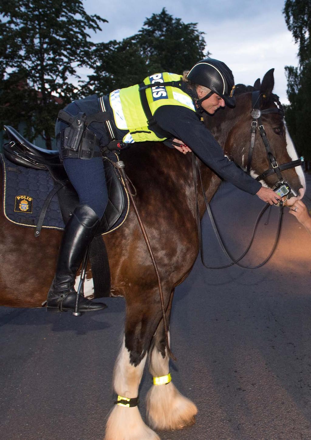 Polisens årsredovisning 2017 Produktion: Kommunikationsavdelningen Polismyndigheten Dnr: A868.