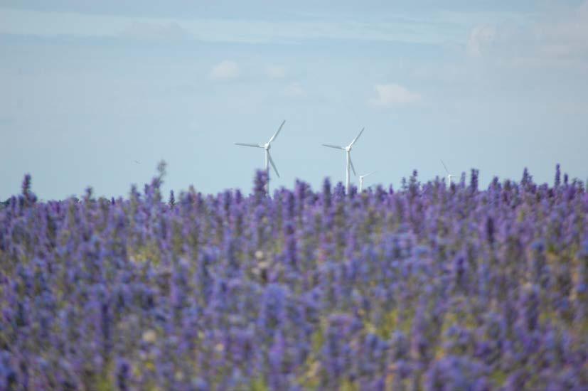 andra experter presenterat slutsatserna kring vindkraftens miljöpåverkan som kommit fram genom kunskapsprogrammet Vindval.