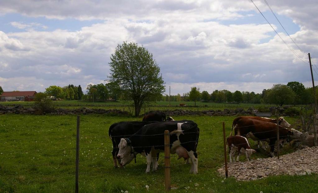 Område 4 Uråsa Inom detta område finns område klassat som riksintresse enligt 4 kap miljöbalken, skyddande av vatten. Där finns också enstaka objekt av fornlämning, nyckelbiotop samt sumpskog utpekat.