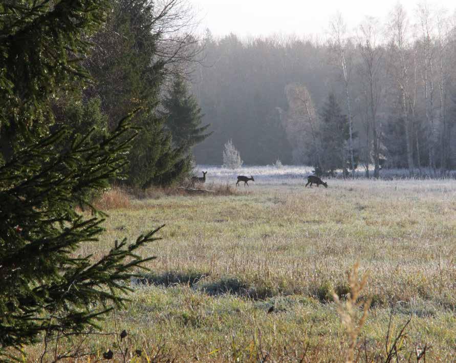 SKOG OCH MARK Åker- och betesmark Åkermarken uppgår enligt fastighetstaxeringen till 29 ha och ligger väl samlad centralt på fastigheten.