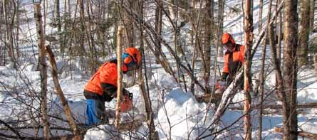 Lasse och Veikko röjer sly på ängen Ronningen utanför Båtskärsnäs. Foto: Åse Blombäck. Snyggar upp ängen och den gamla brunnsplatsen!