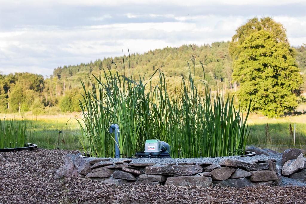 4 (54) Växtbeställning När bioreningsverket är installerad, fyllt med vatten och i drift, så är det dags att plantera växterna.