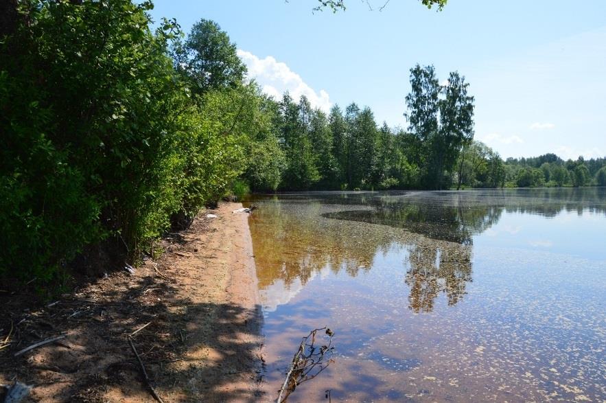 3. Skog och träd. Naturvärdesklass 3. Detta objekt består av en lövsumpskog i anslutning till Mellan-Fryken. I trädskiktet finns gråal, klibbal, sälg, björk och videbuskage.