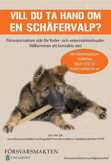 ) registreras tillsammans med sin ägare för en engångskostnad. Registret är sökbart via internet, vilket innebär att den som hittar din bortsprungna hund eller katt snabbt kan komma i kontakt med dig.