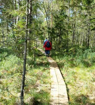 TILL FOTS 5. ÖSTDANMARKS VANDRINGSLED LÄNGD: 9 17 KM Leden har två sträckor, den ena på 17 km och en kortare rundslinga på 9 km. Lite svårare terräng, vildmark, stigar.