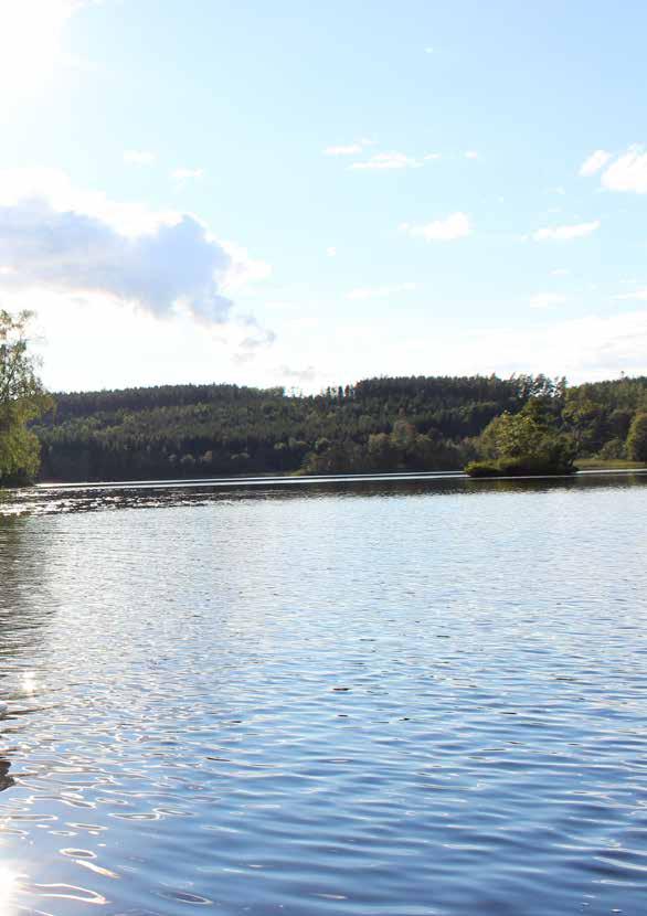 TILL FOTS NÄRA TILL NATUREN Vill du lämna trängsel och stress bakom dig för en stund? Ge dig då ut i naturen, känn friheten och få ro i kroppen.