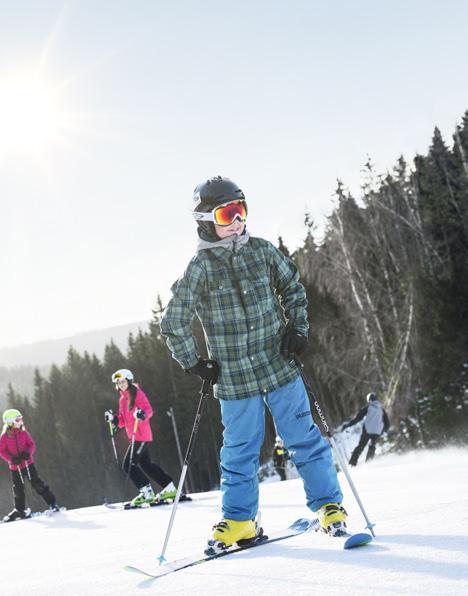 Ski-In/Out camping 20% rabatt på säsongsskipass för våra säsongscampare Vår året-runt-öppna camping ligger vid foten av Isabergstoppen, granne med skidområdet. Nära till allt!