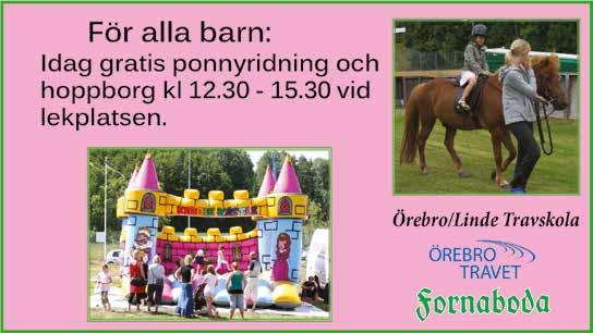 MYTRY OV,mbr. h. e ove You - irst eer e Mrket eer Uppf: nssons hkt & Rivning AB Äg: tll Pershion Blå, ljblå/vitt lorättfält, rev; blå Normn Peter ORAK AC,br. v.