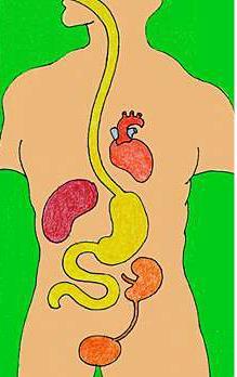 Interaktioner Farmakokinetiska absorption ex kalcium + ciprofloxacin metabolism (hämning och