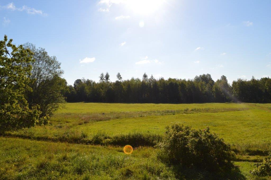 Åker och betesmark (Inägomark) Inägomarken bedöms enligt skogsbruksplanen till ca 9,3 ha. Inägomarken ligger huvudsakligen i anslutning till gårdscentrum.