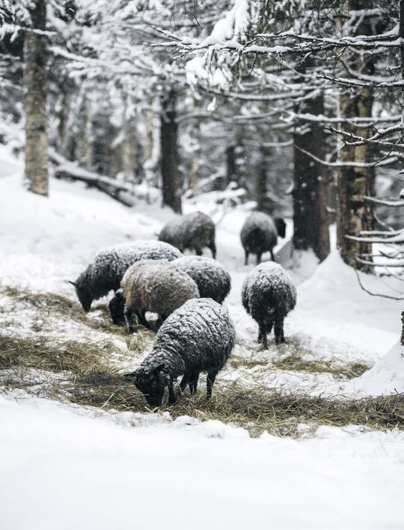 Mathantverket lyfter fram mat med tradition, vidareutvecklar metoderna och skapar innovativa produkter.