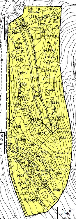 Nr 316: Lantmäteriets beteckning 1737 P15/2, Detaljplan för Del av Hole 1:94 m fl (Björnbrodden), Torsby kommun, Värmlands län.