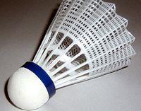 Badminton Sektionen har under 2015 genomfört 2 tävlingar som omfattade 2 tävlingsdagar. Tävlingarna har spelats i Botkyrka Rackethall i Hallunda. Svealandsspelen: Genomfördes den 11/4.