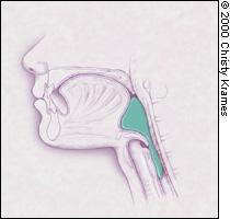 Faryngeal