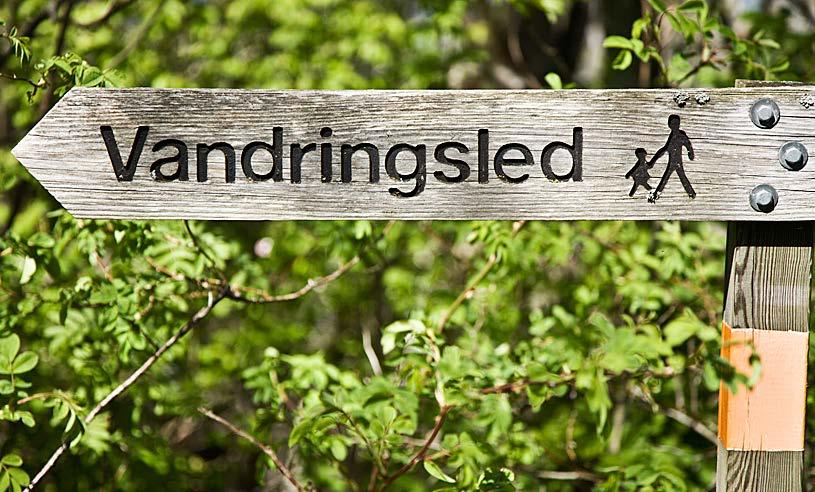 Ekonomisk forskning visar betalningsvilja hos vandrare: Mellan
