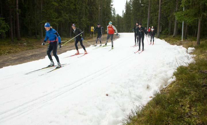 Ekonomisk forskning visar betalningsvilja hos
