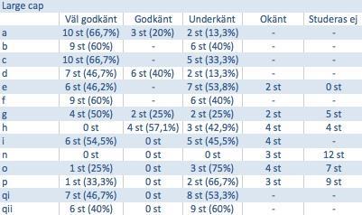 överblick av resultaten från bedömningsmallen.