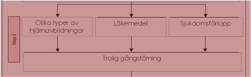 Fysioterapeutisk bedömning vid Olika typer av Läkemedel Snijders, AH et.al. Lancet Neurol 2007 Fysioterapeutisk bedömning vid Olika typer av Hypokinetisk och rigit gångmönster?