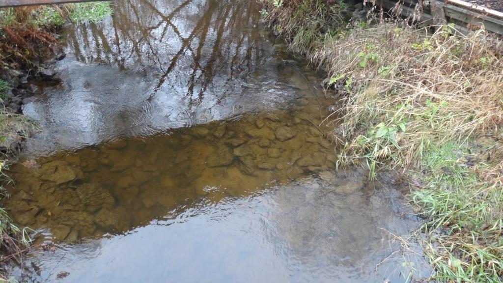 Fisk- o Vattenvård 2017-11-27 4 (8) Lokalerna B och C, vilka representerar den mellersta delen av Merlobäcken, är fortfarande en liten bäck men med betydligt mer varierad bottenstruktur och lutning.