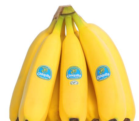 Bananerna uppfyller kraven för Rainforest Alliance certifieringen, med en tydlig ställning vad gäller hälsa, arbetssäkerhet och miljö.